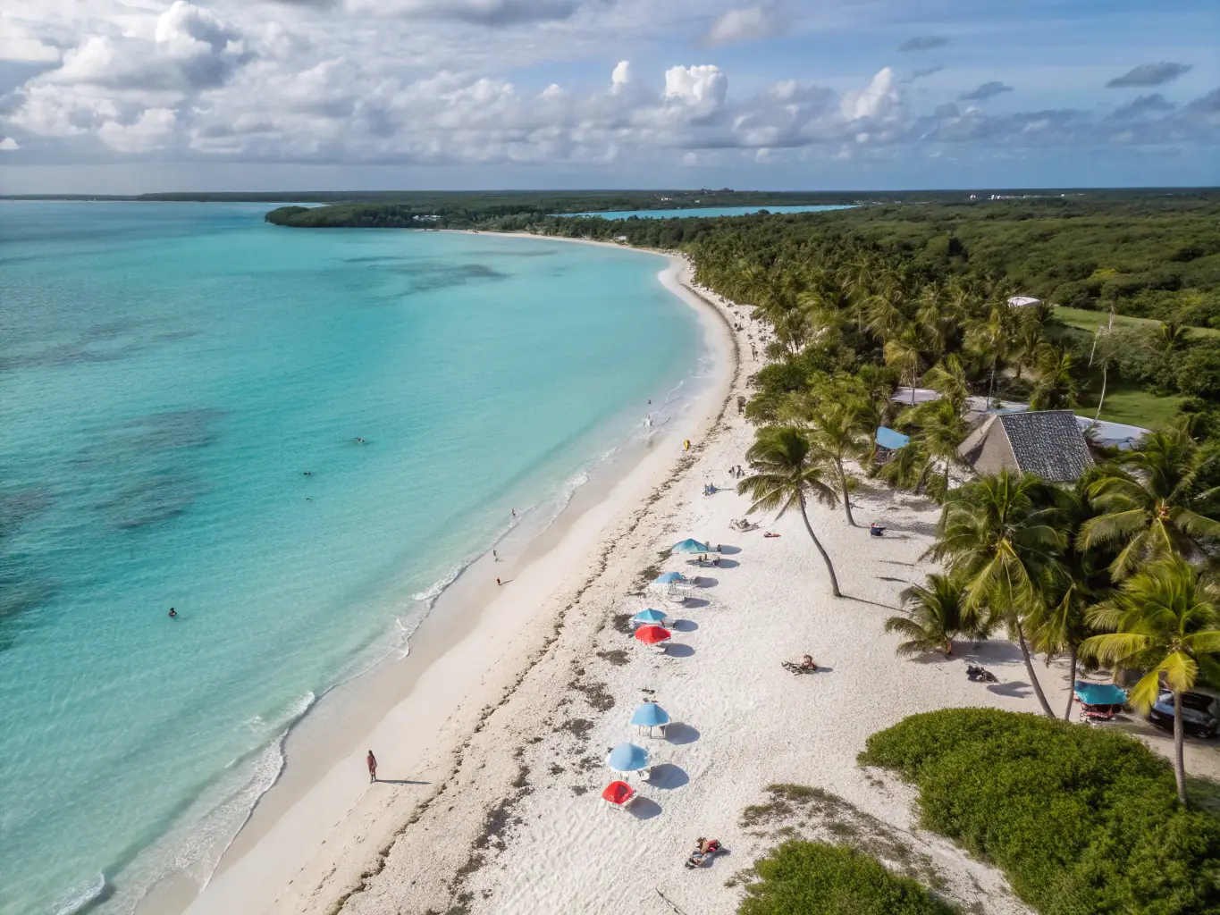 A vibrant beach scene in the Caribbean, with turquoise waters, white sand, and palm trees swaying in the breeze. The image should evoke relaxation and the carefree spirit of island life.